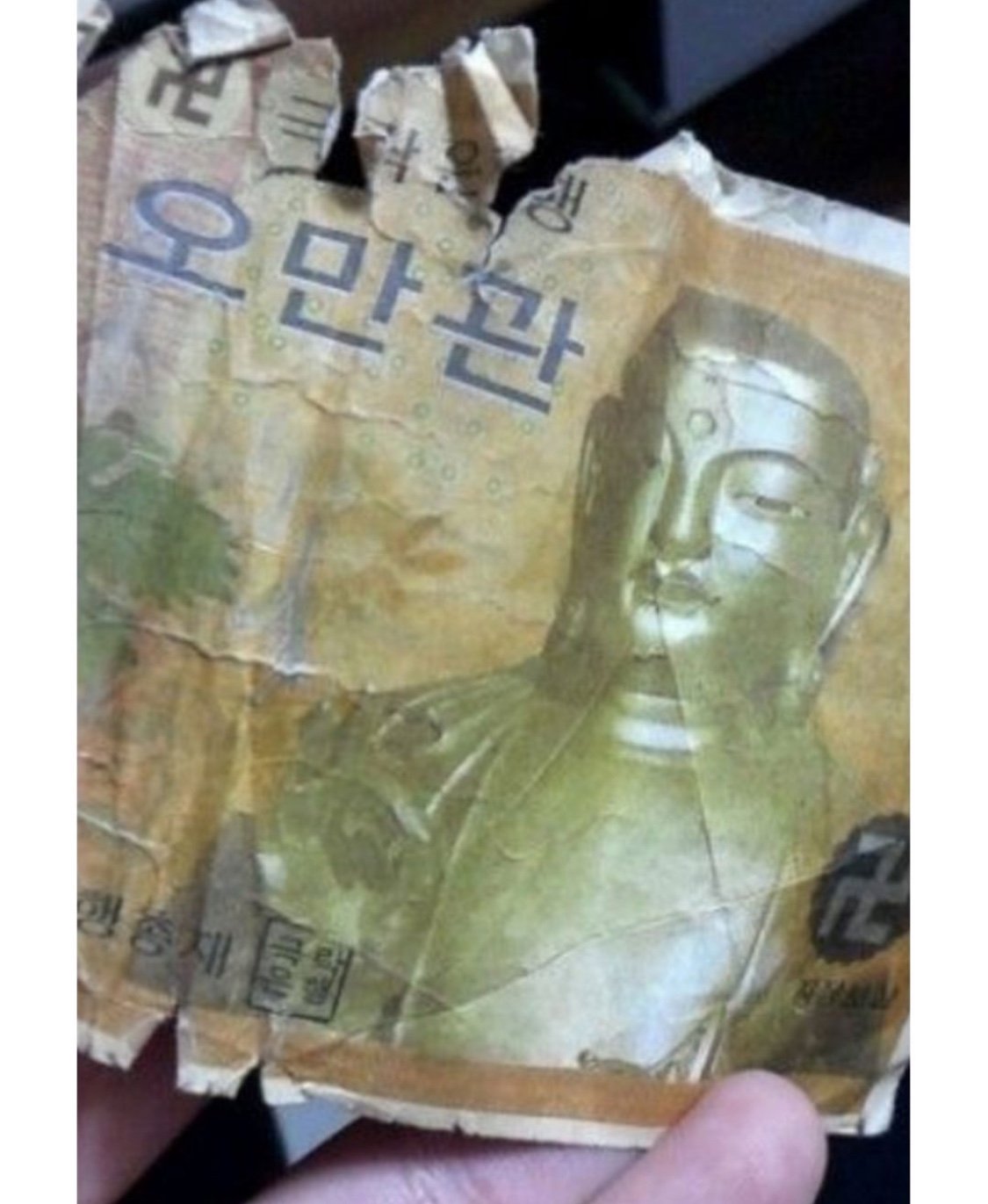 5만원인줄 알고 냅다 주웠는데