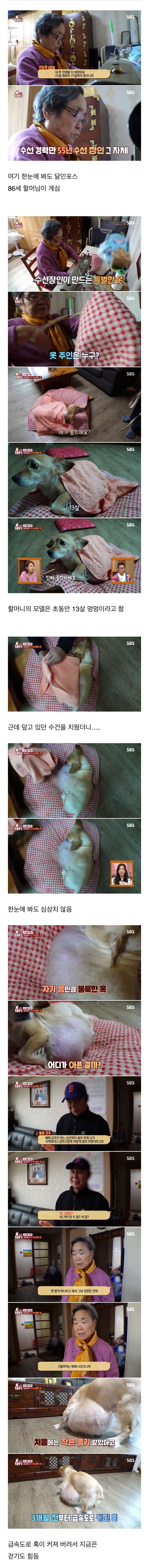 86세 할머니를 울린 동물농장 제작진들