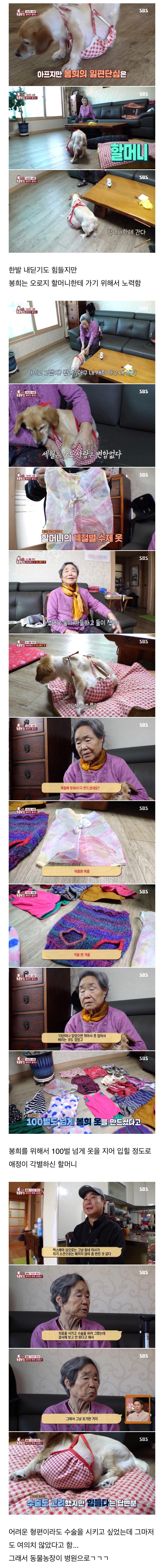 86세 할머니를 울린 동물농장 제작진들