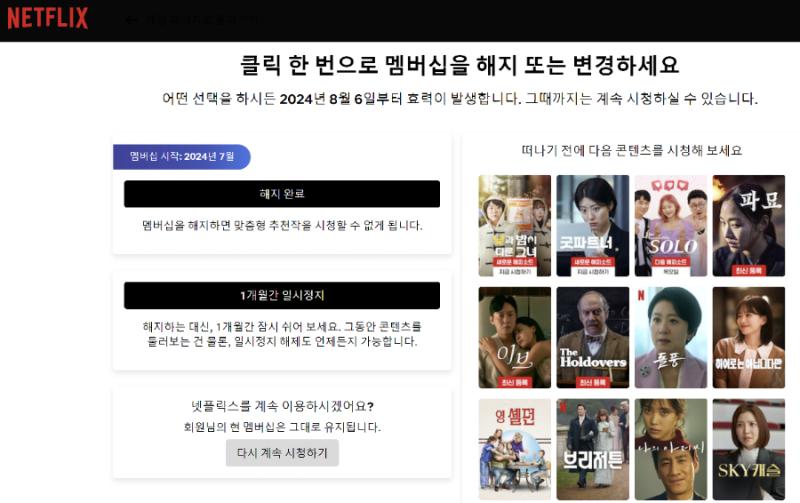 넷플릭스 구독 일시정지 시스템 도입