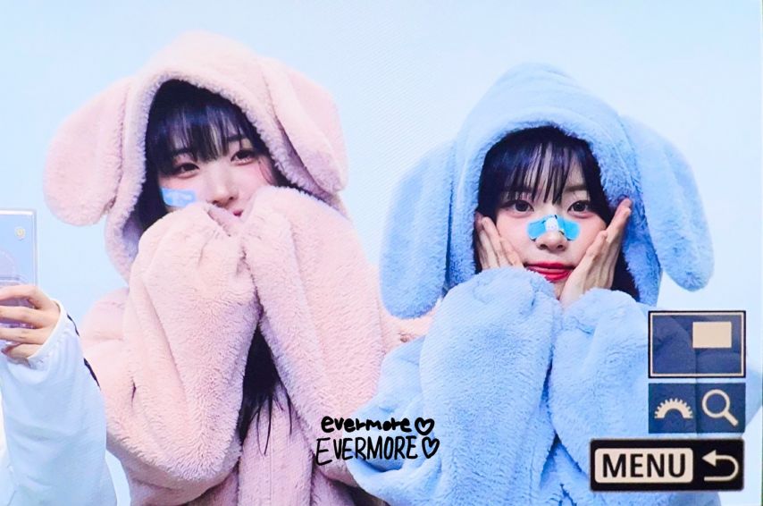 [QWER] 쵸단&히나
