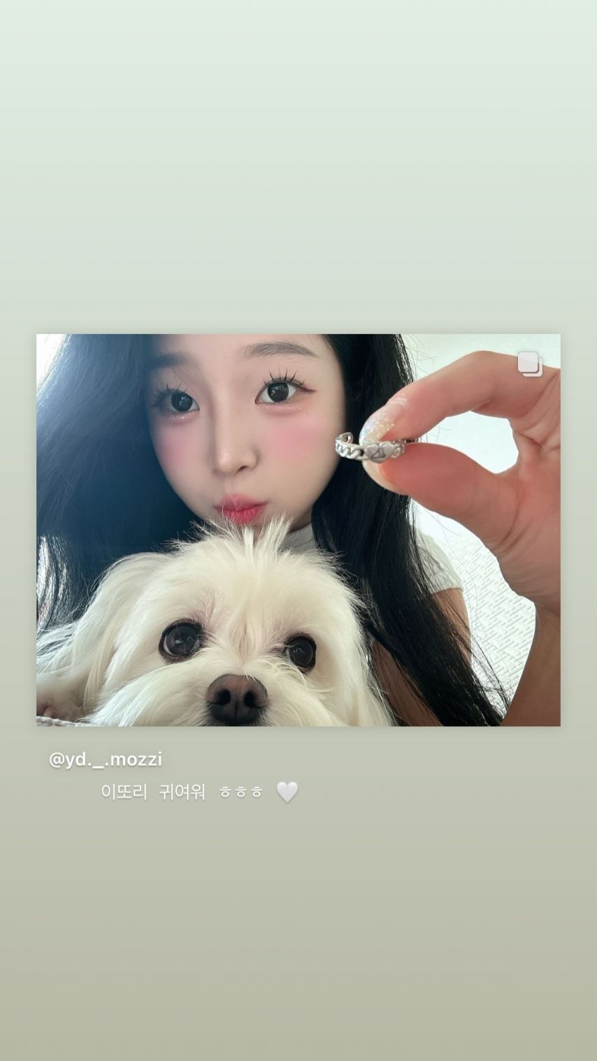 이연진