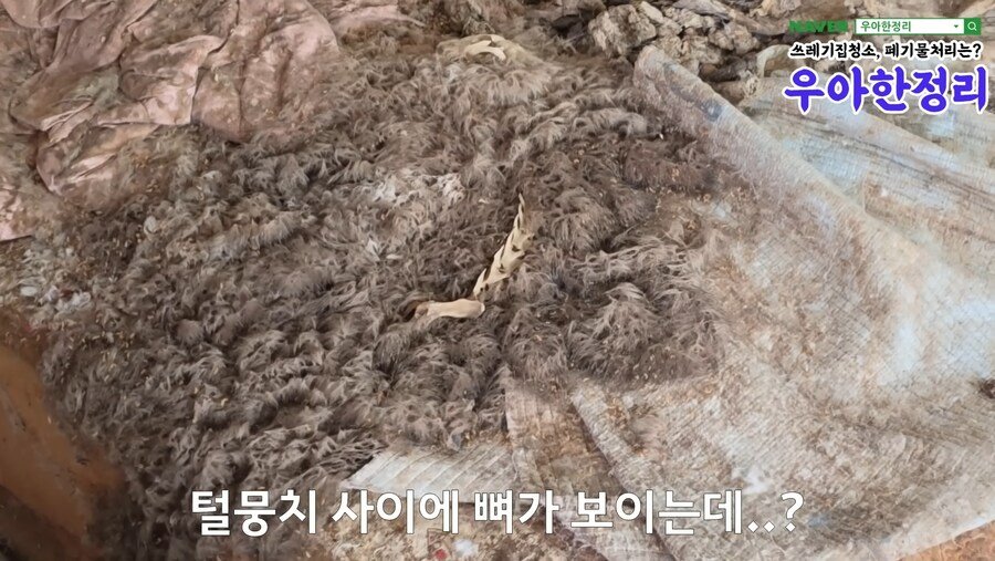 청소업체가 청소할 곳 가려받는 이유...