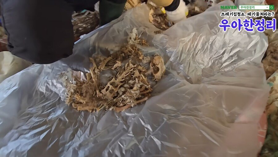 청소업체가 청소할 곳 가려받는 이유...
