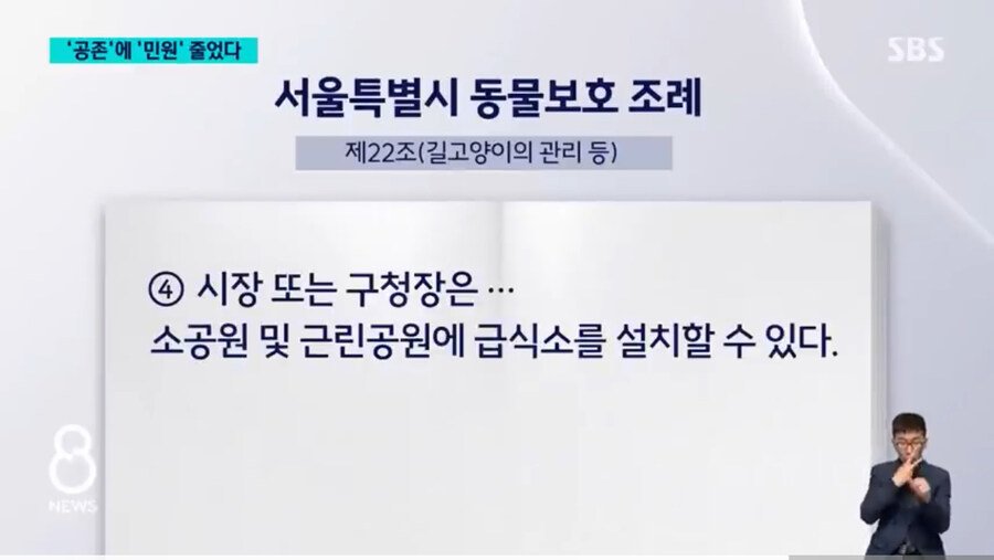 서울 서초구 캣맘 최신 근황