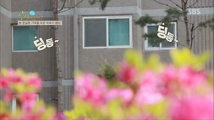 연평도 포격전 이후 돼지고기 못드시는 아버지