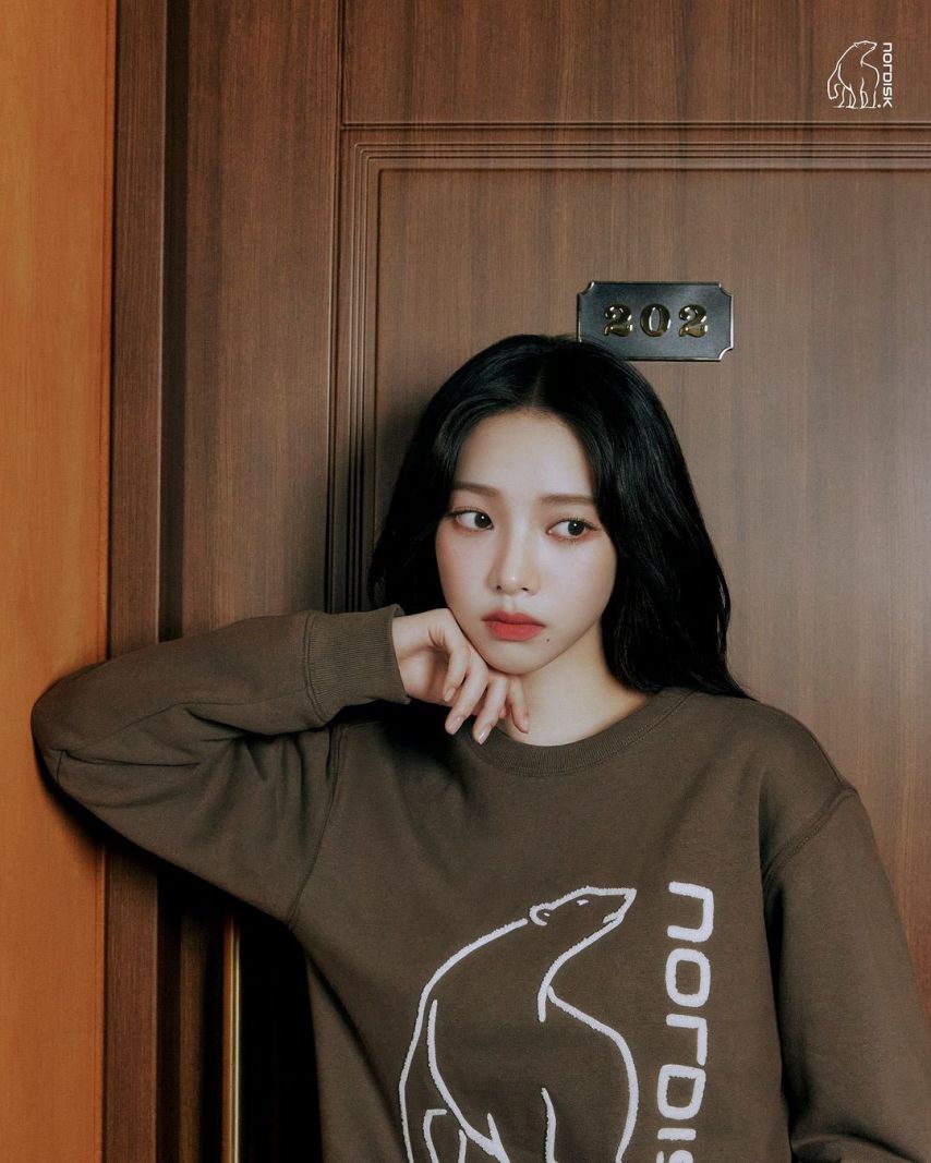 에스파 카리나ㅡ노르디스크