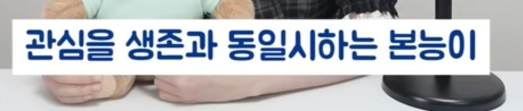 여자의 화폐는 관심이다
