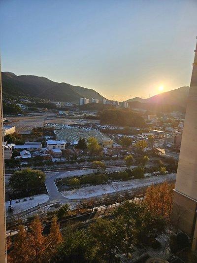 오늘자 난리난 부산 폭설