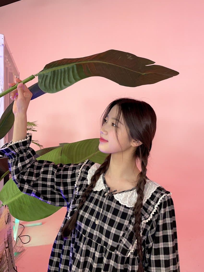 르세라핌 카즈하