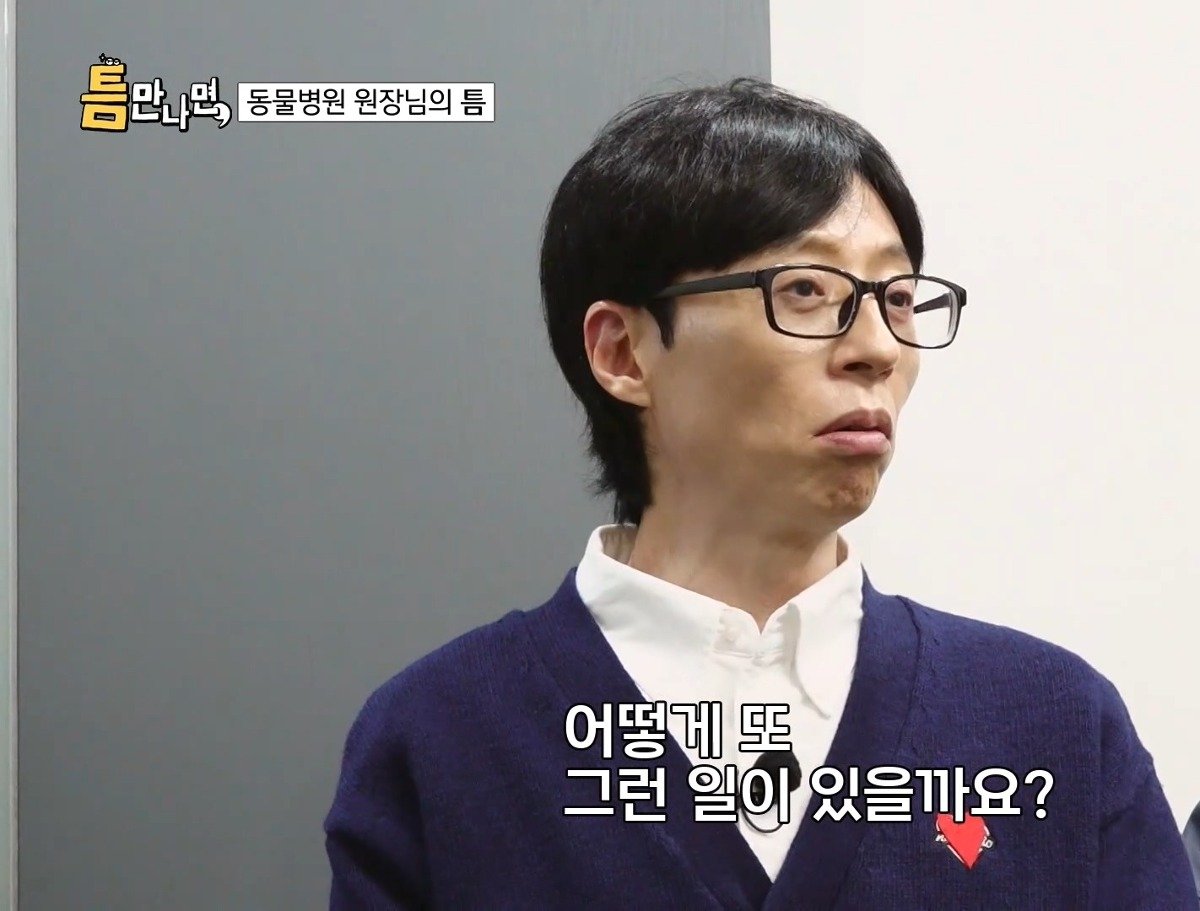 13년차 수의사가 사연 신청한 이유