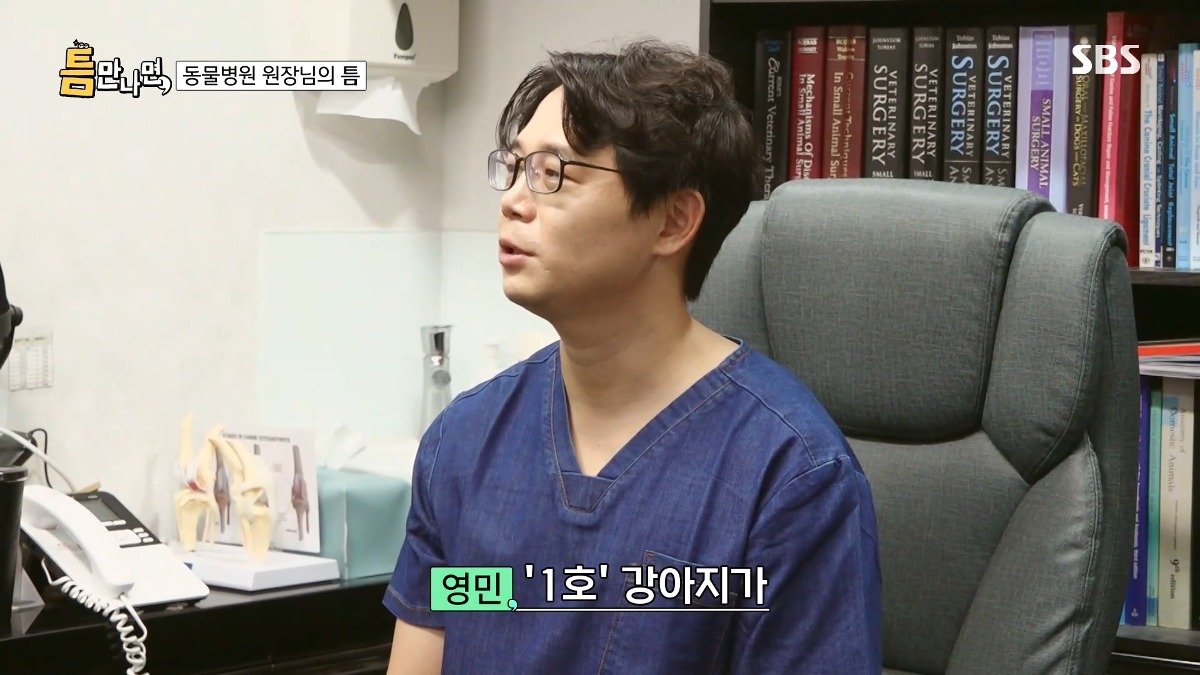13년차 수의사가 사연 신청한 이유