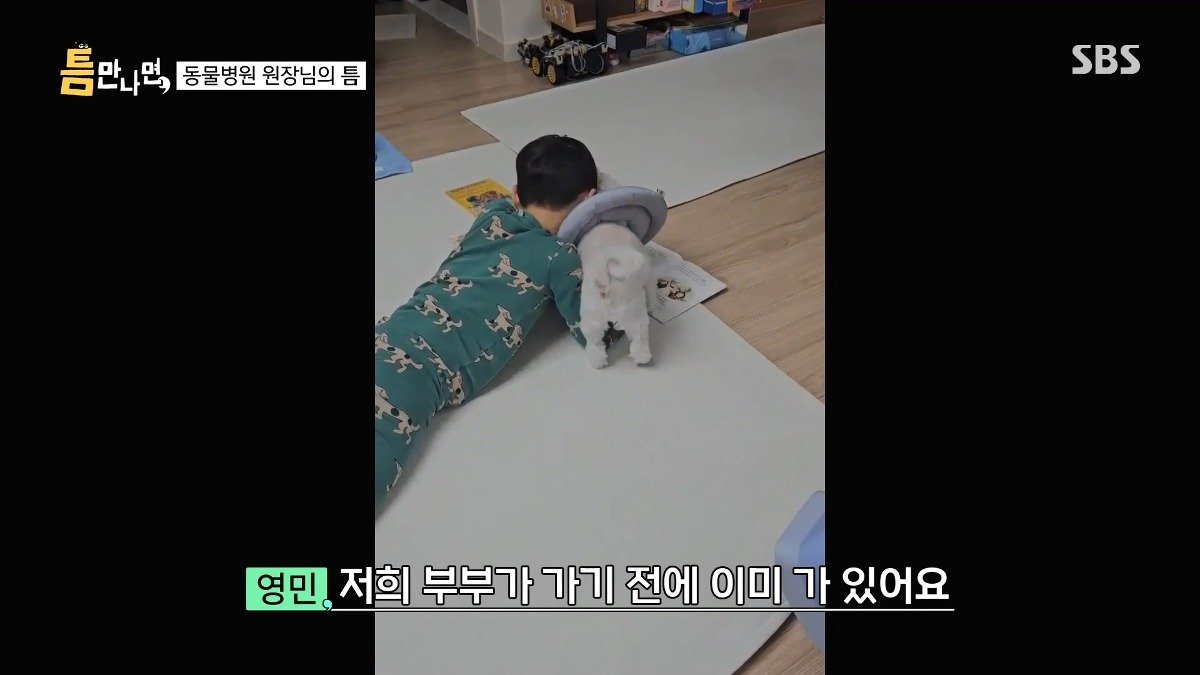 13년차 수의사가 사연 신청한 이유