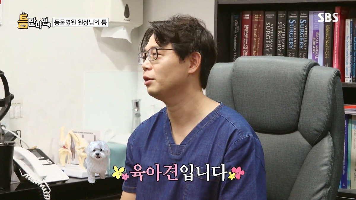 13년차 수의사가 사연 신청한 이유