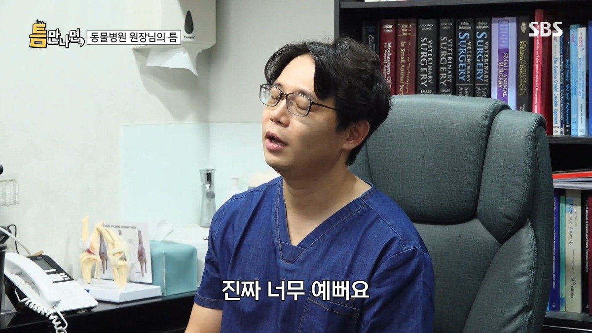 13년차 수의사가 사연 신청한 이유