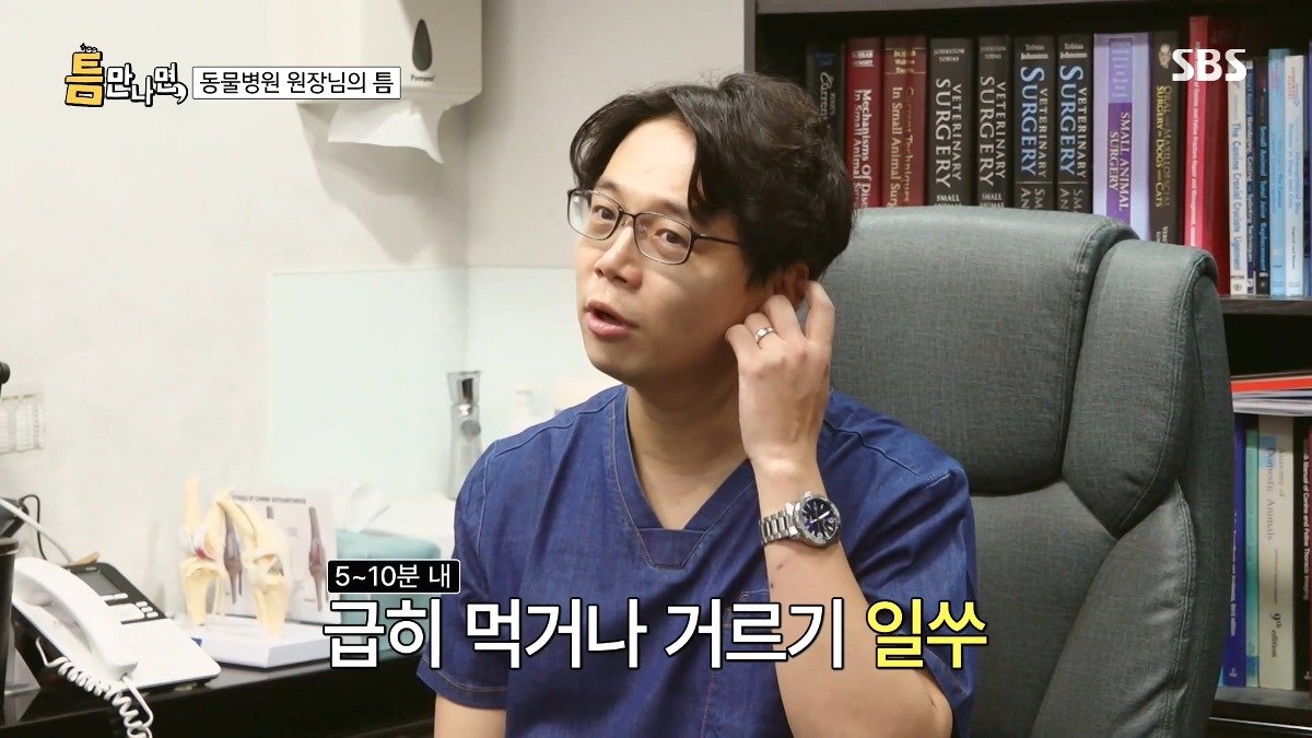 13년차 수의사가 사연 신청한 이유