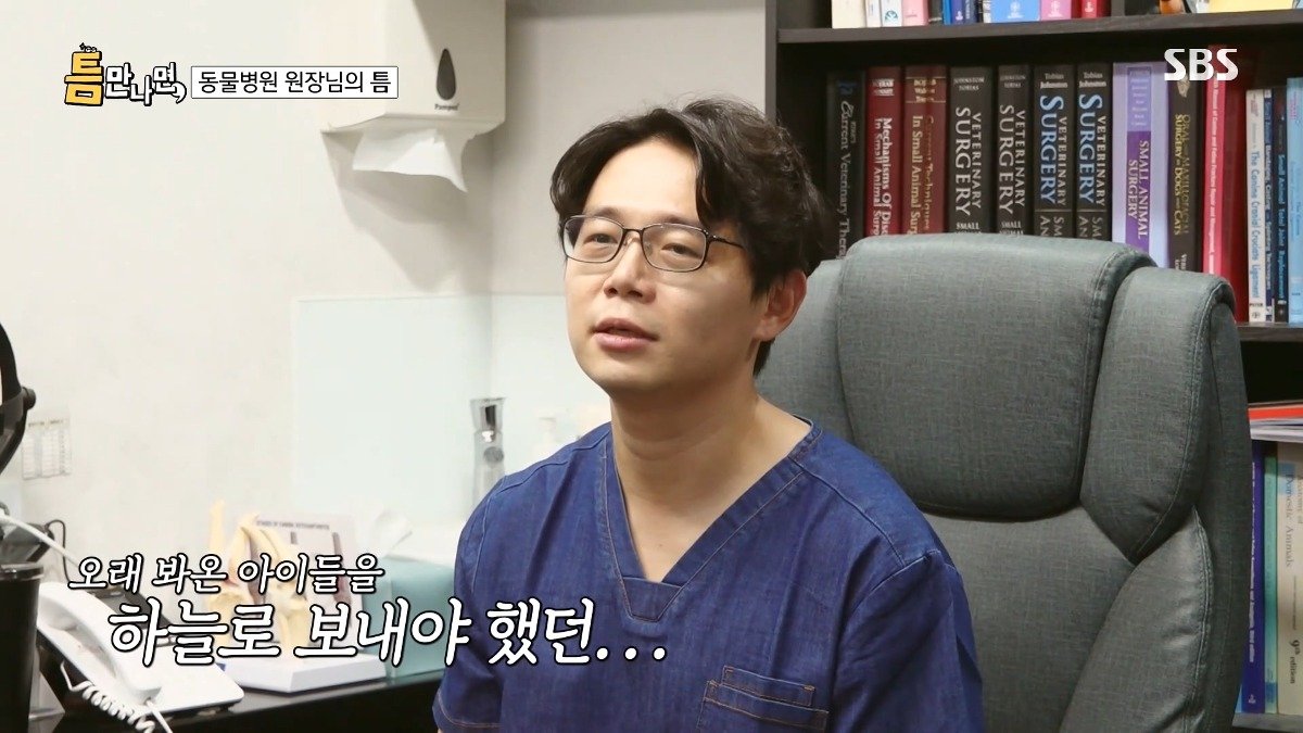 13년차 수의사가 사연 신청한 이유