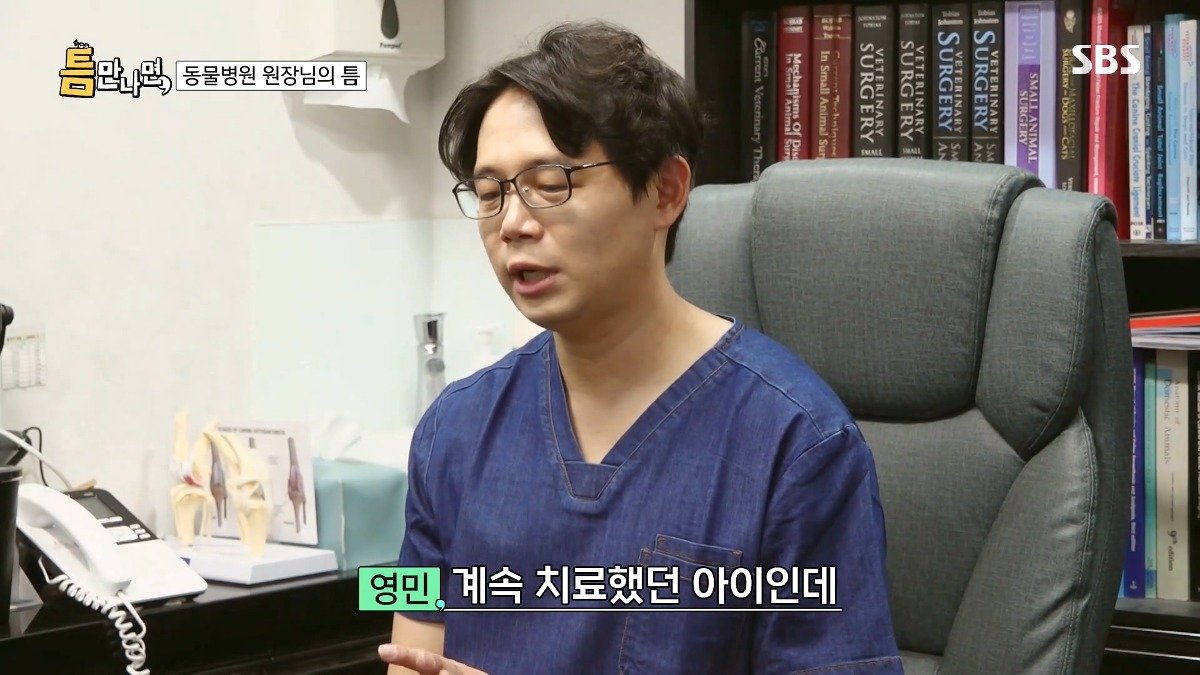 13년차 수의사가 사연 신청한 이유