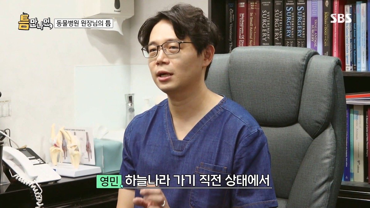 13년차 수의사가 사연 신청한 이유