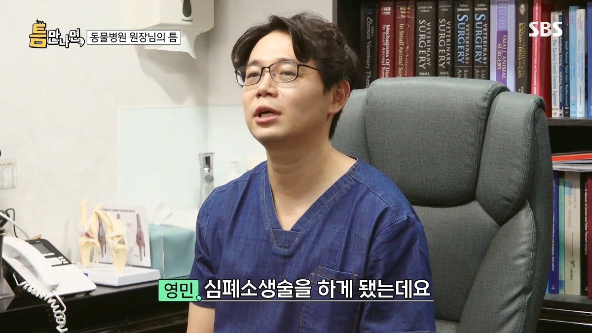 13년차 수의사가 사연 신청한 이유
