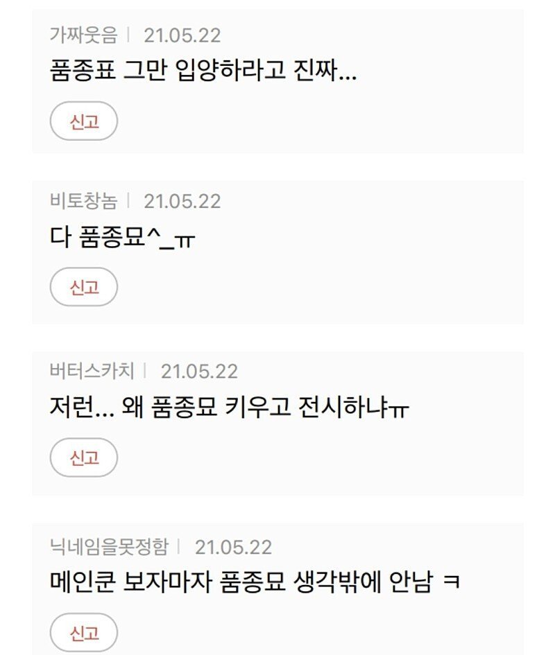 품종묘 키우는 연예인에게 뿔난 여초카페