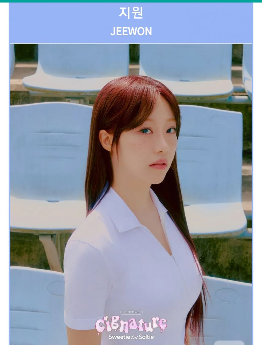 걸그룹 커리어 두번째 해체인 지원 [정보글]