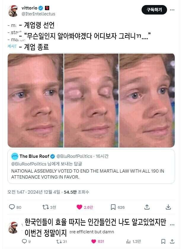 한국 계엄령 관련 해외 밈