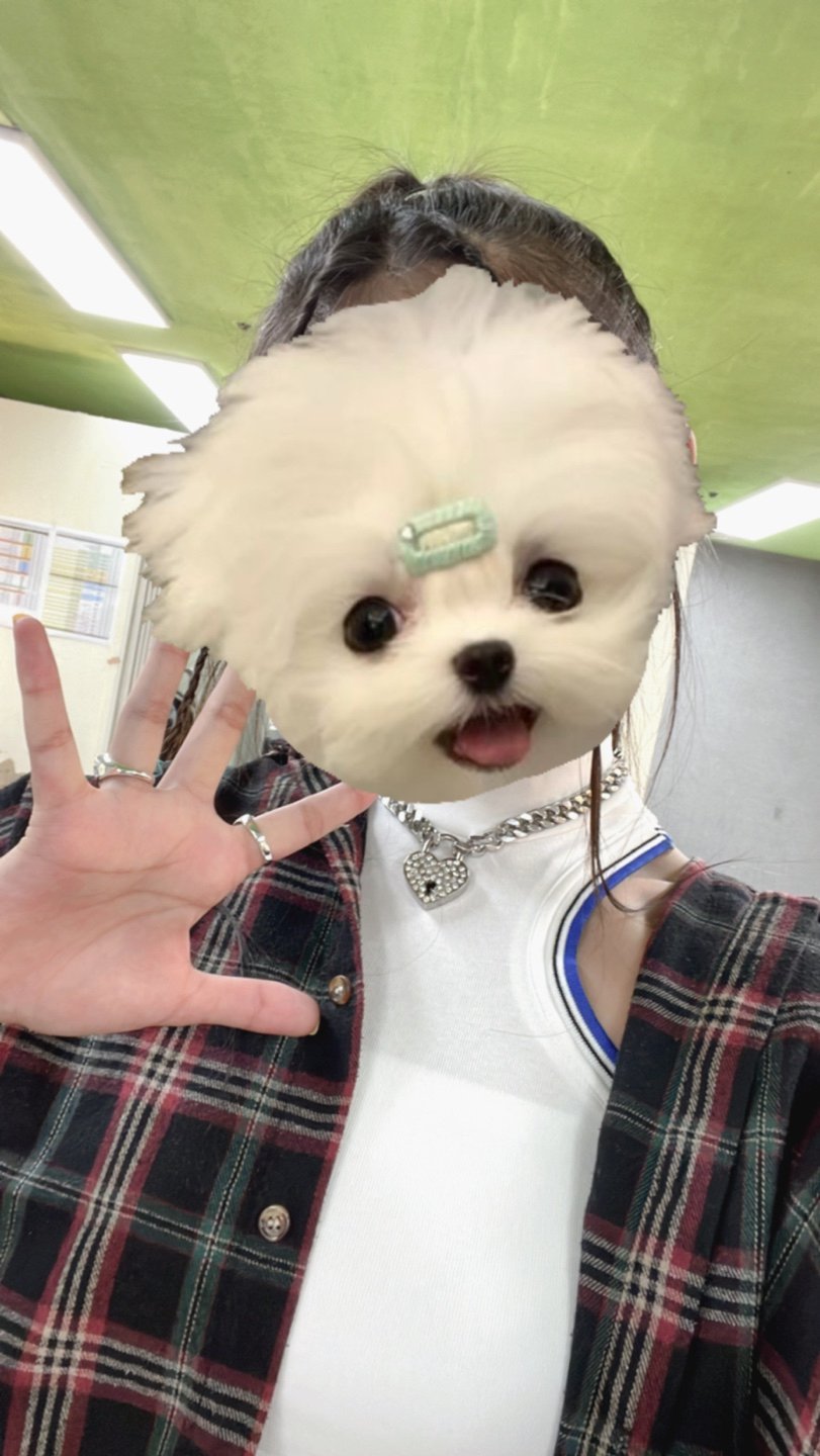 하이키 옐