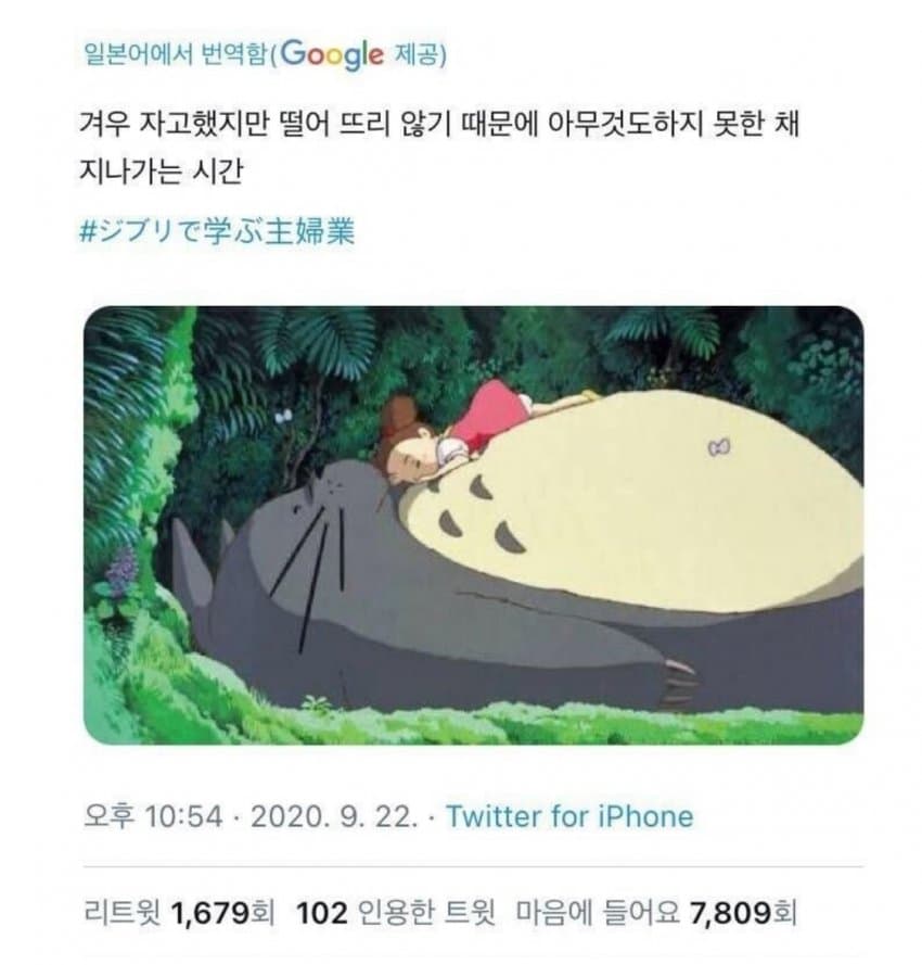일본 유뷰녀들한테 유행했던 지브리 트윗