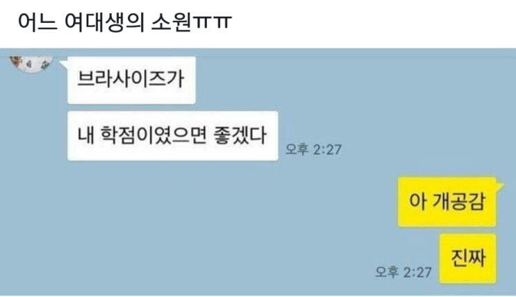 어느 여대생의 소원 ㅠㅠㅋㅋㅋ