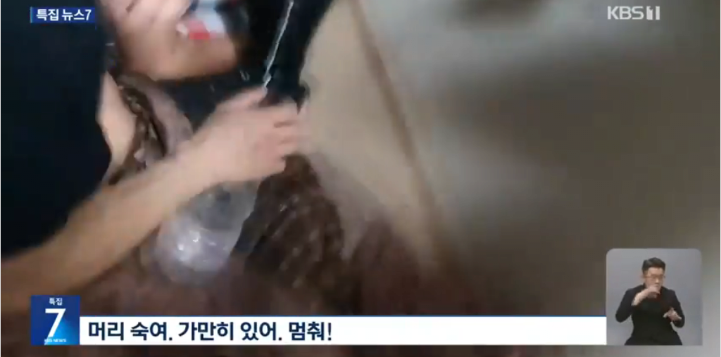 펜션에서 집단 마약파티하던 베트남 남녀 6명 검거 ㄷㄷㄷㄷ.news