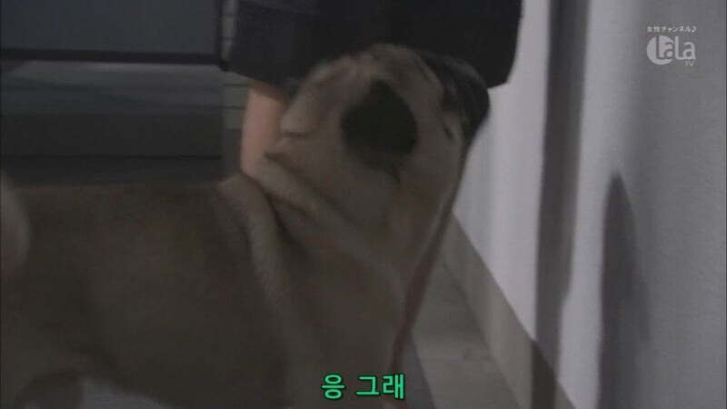 키 190 미중년이 결혼 못한 이유