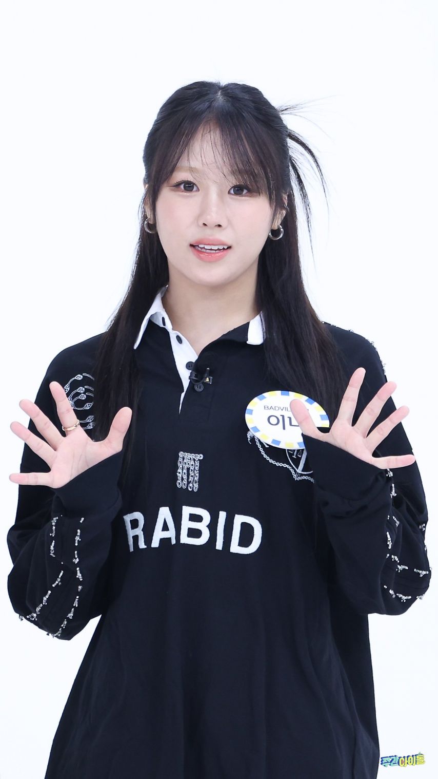 배드빌런 이나
