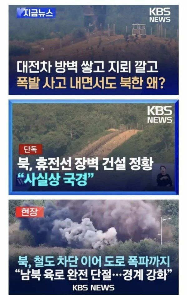 이제서야 이해되는 녀석들