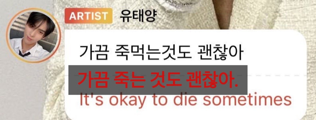 아이돌 소통어플 번역 억까 모음
