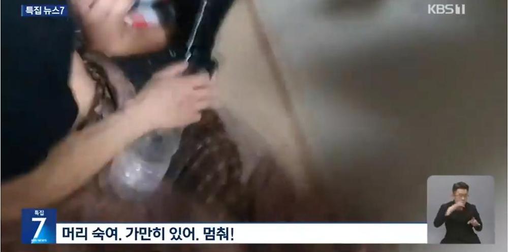 펜션에서 집단 마약파티하던 베트남 남녀 6명 검거