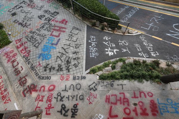 도파민 넘쳐났던 2024년 ㄷㄷ