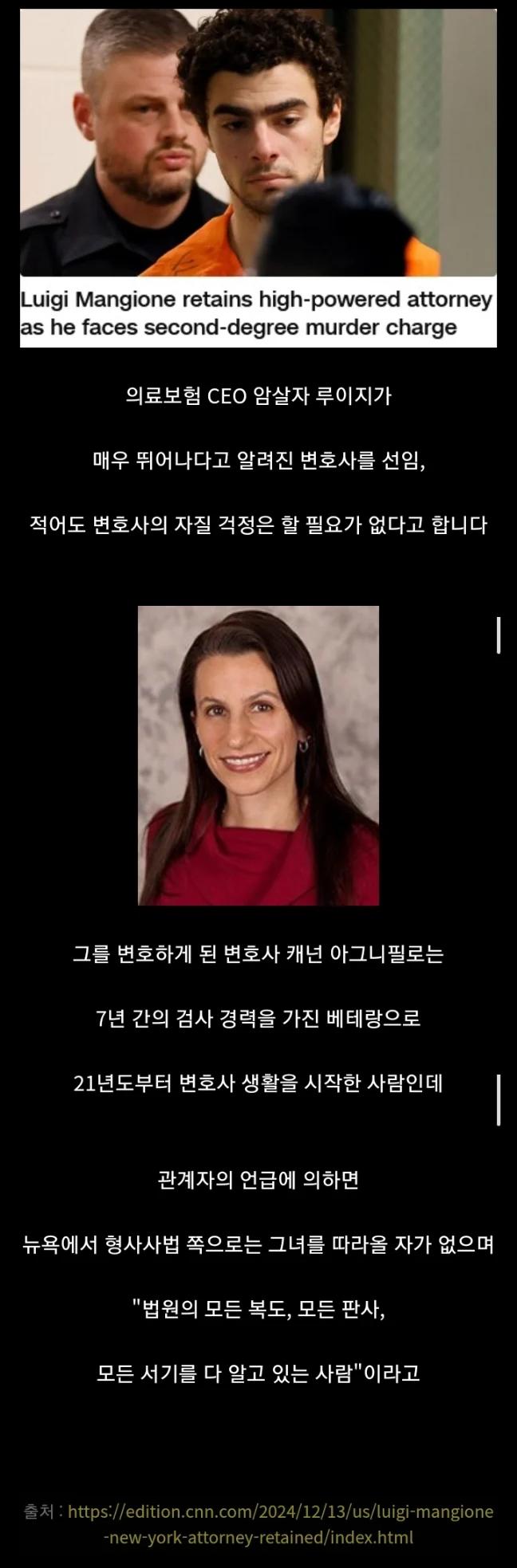 보험 CEO 암살범 최신 근황