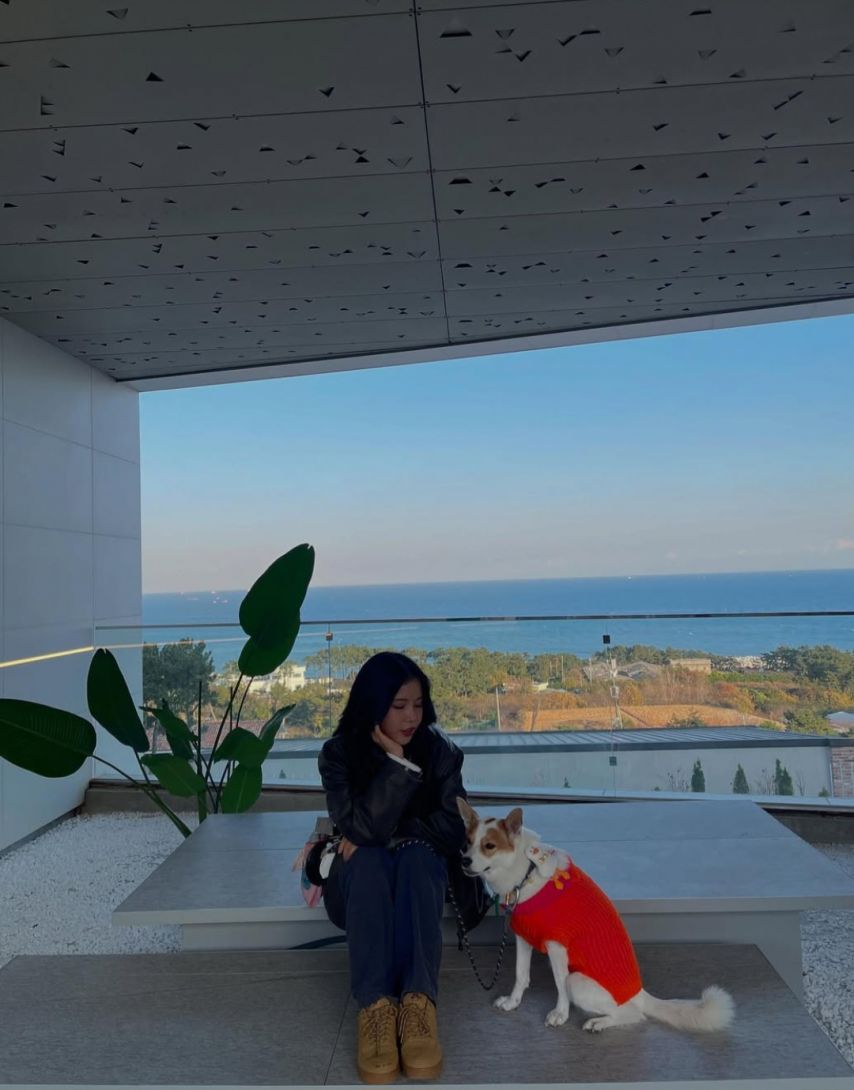 마마무 솔라
