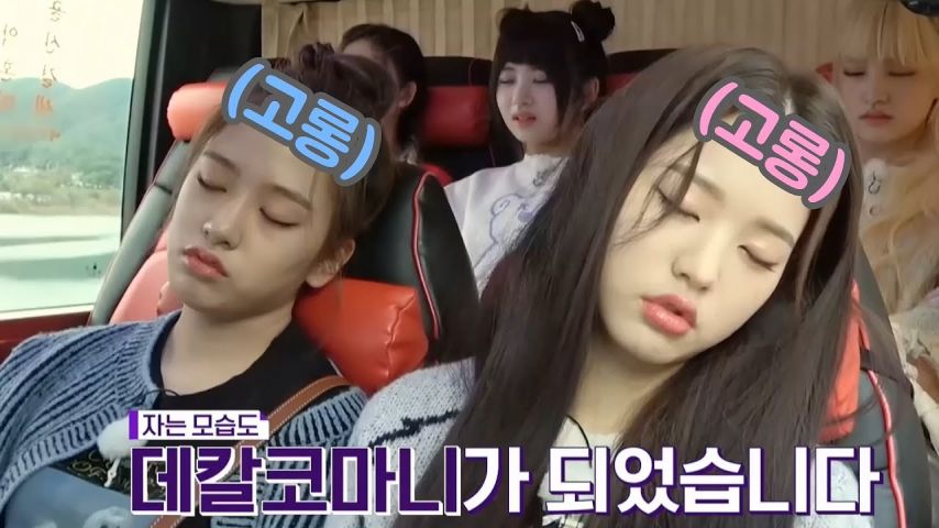 [아이브] 눈 감은 장원영
