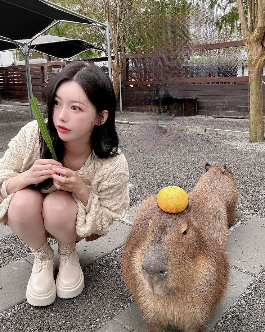 이아영