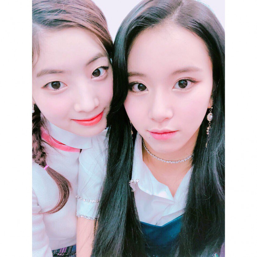 트와이스 채영