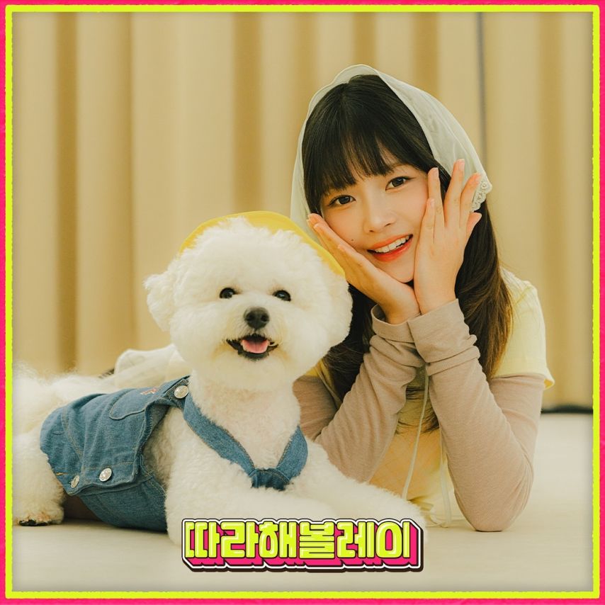 아이브 레이