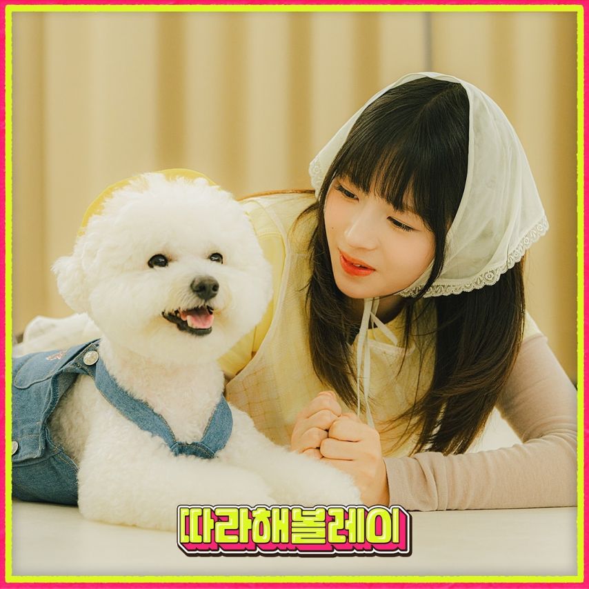 아이브 레이