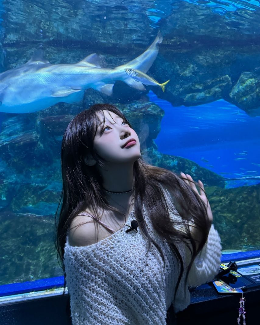 시그니처 지원 인스타