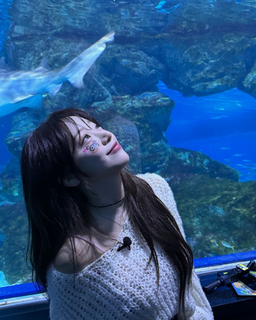 시그니처 지원 인스타