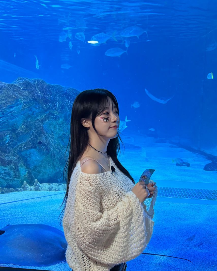 시그니처 지원 인스타