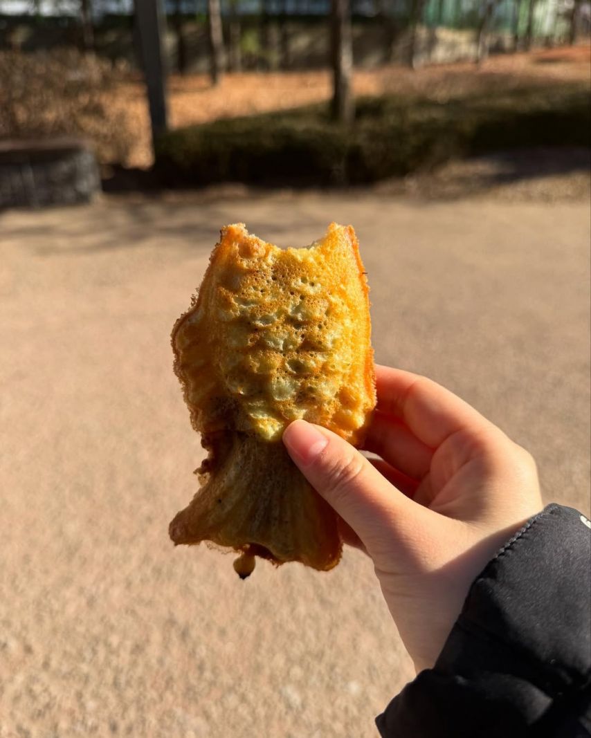 최희진 SNS