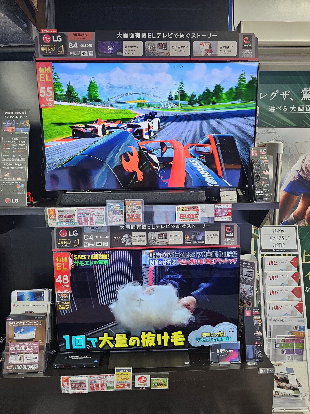 도쿄 빅카메라 가전양판점 LG OLED 티비 근황 ㄷㄷ