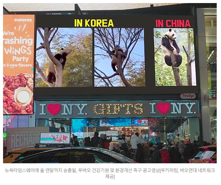 “푸바오 경련..정상 아니다” 뉴욕 광고 또 등장